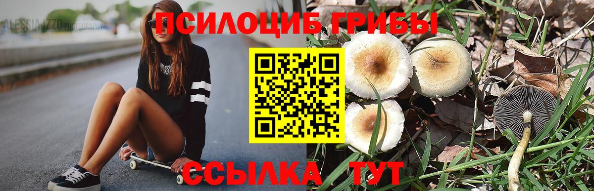 Галлюциногенные грибы Cubensis  Вход с VPN  Сатка  Галлюциногенные грибы мицелий 
